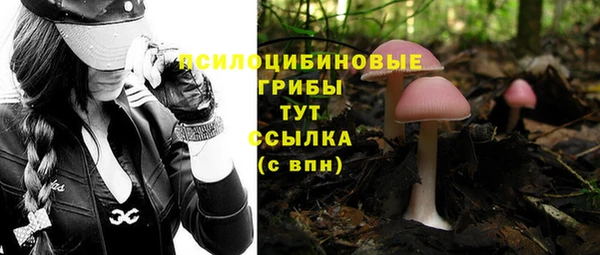 гидра Медвежьегорск