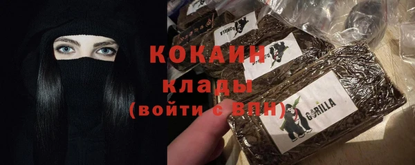 гидра Медвежьегорск