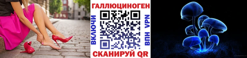 Галлюциногенные грибы прущие грибы  закладка  Белокуриха 